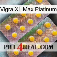 Vigra Xl Max Platinum new10